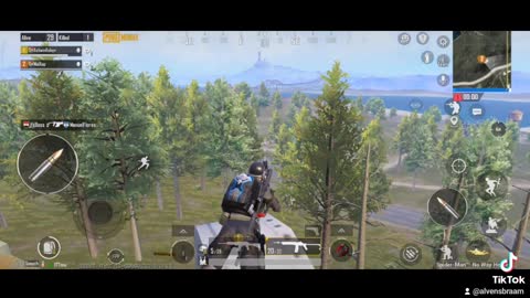 Pubgmobile spiderweb