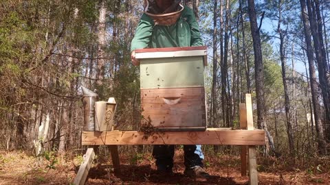 Portable hive stand part 2