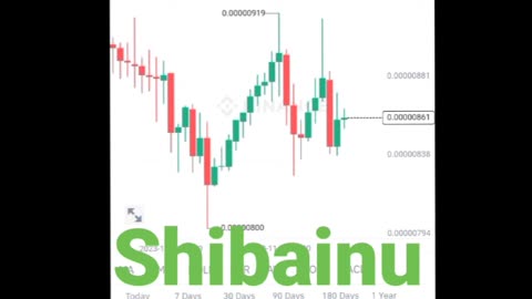 BTC coin Shibainu coin Etherum coin Cryptocurrency Crypto loan cryptoupdates song trading insurance Rubbani bnb coin short video reel #shibainu