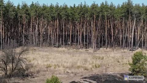 Drone footage of Russian Z tanks hidden in the forest