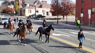 Video Recap of Springfield , ma Veterans Day Parade