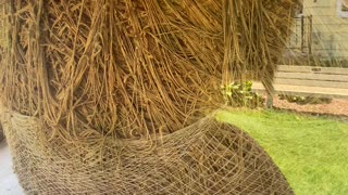 Largest Twine Ball made by one man in Darwin, MN