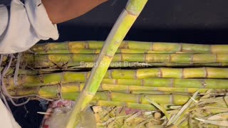 Sugarcane Cutting