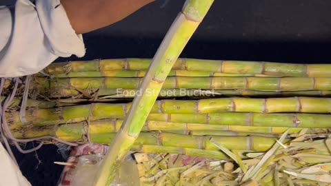 Sugarcane Cutting
