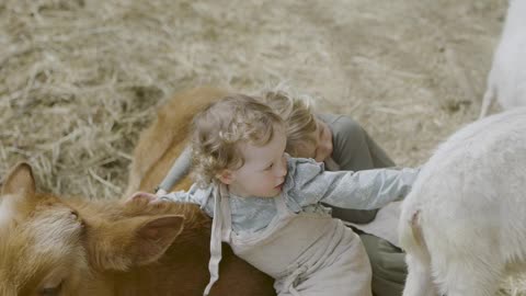 little-girls-hugging-a-cattle