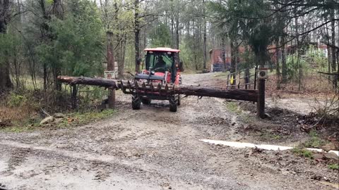 2 retired guys on a rainy day mission! Cedar logs!