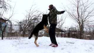 Man and Dog Workout Together