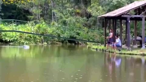 The head of a crocodile boat on the remote control