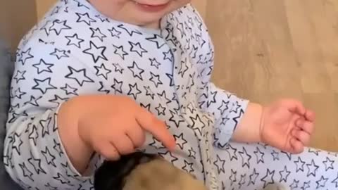 Super cute baby playing with pug dog baby