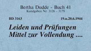 BD 3163 - LEIDEN UND PRÜFUNGEN MITTEL ZUR VOLLENDUNG ....