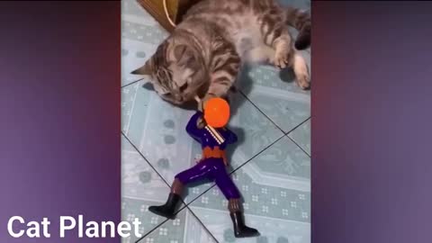 Best Funny Cats Video Compilation 2020 #cutecat Cat Planet