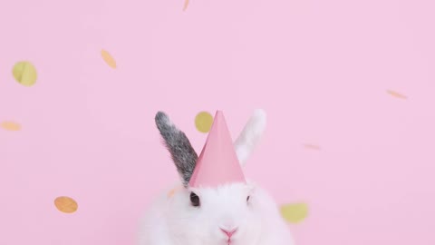 happy bunny using party hat