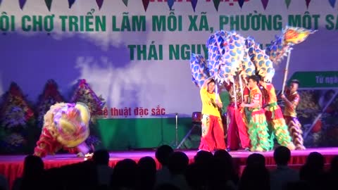Traditional dragon dancing in Vietnam