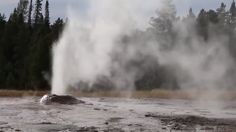 Yellowstone National Park | Canyons | Waterfalls | Hot Springs Dark Green I DG|