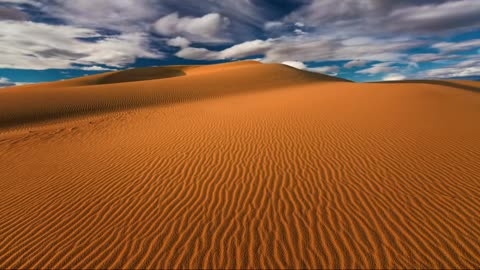 Yellow sand all over the ground