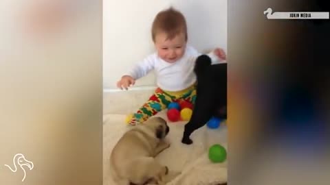 Funny babies laughing at pets