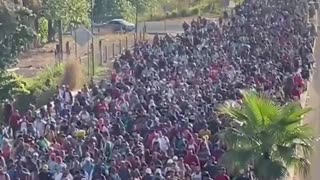The largest migrant caravan of 2023 10,000 individuals from 24 countries en route to the US border