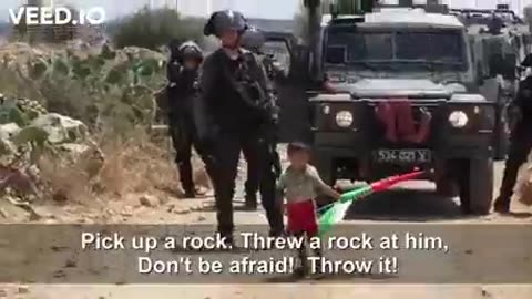 This what the IDF has to deal with Palestinian man pushing his child towards armed soldiers