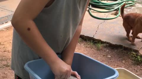 Canning season