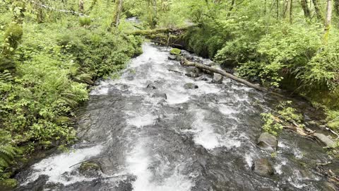 The Roaring Bridal Veil Falls Creek – Columbia River Gorge National Scenic Area – 4K