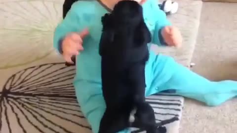 This is amazing! puppy
