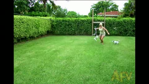 Dog Refuses To Let Go Of Toy Attached To A Zipline