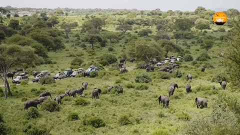 3 Day Etosha National Park