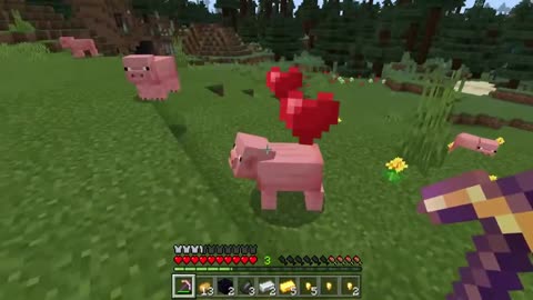 Farming Pigs