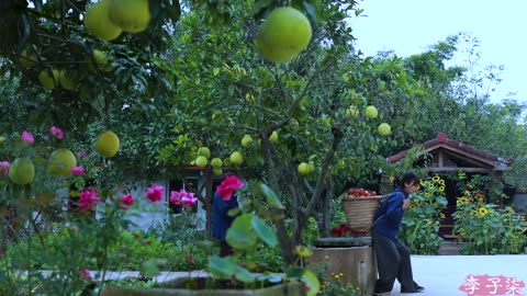 It’s a red mountain, and in the fall, it’s natural to make some sweet persimmons