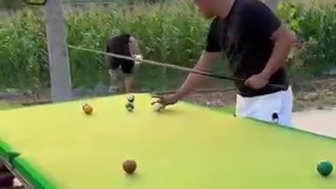 Funny video billiards million views