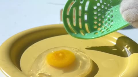 Longyin poached egg is so cut 😯🤤(asmr) i chef cat cooking i creative food idea