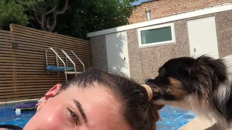 Pool Attendant Pup Pulls at Ponytail