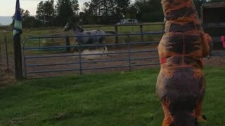 Horse Horrified by Approaching T-Rex