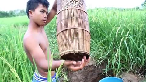 Net Fishing at pailin Province - Khmer Cast Net Fishing -Cambodia Traditional Fishing ( Part 101)