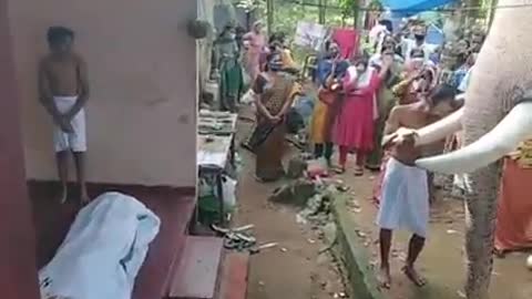 Elephant visit his dead mahout on his funeral day. Heart touching video