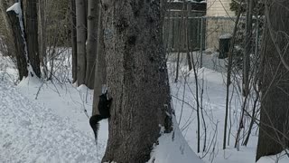 Lovely and Happy Squirrel