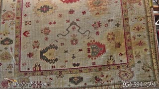 Fresh Yellow Stains can be Remove from Wool Silk Oriental rug | PetPeePee