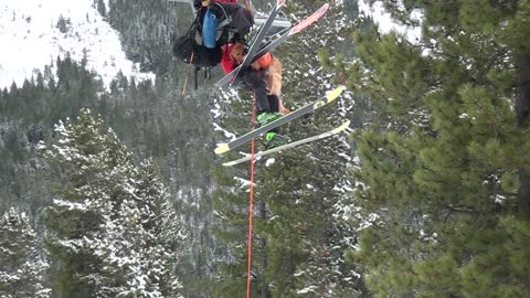 Rescue Dog Chairlift Practice