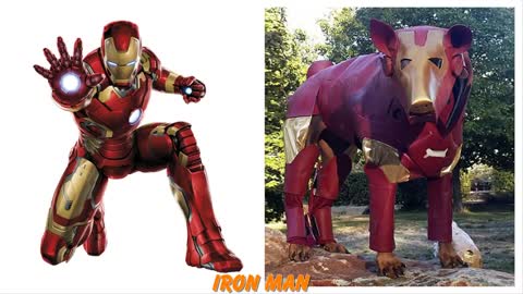 Superheroes Characters in Real Life Dogs Wow simply amazing