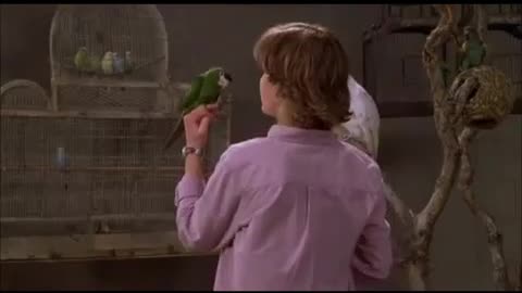 A Very Funny Scene From The Animal