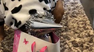 Dog opening her birthday present