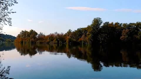 Beautiful voices of birds on the lake in the forest