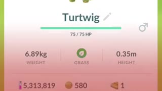 Pokémon GO-Lucas Hat Turtwig