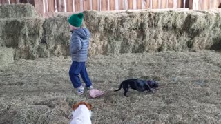 King of the Hay Castle