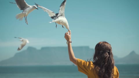 Girl enjoys view of beautiful birds.