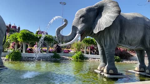 Miracle garden Dubai Cute elephant fountain slow motion video ( Don’t miss it)