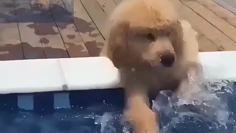 Playing with water