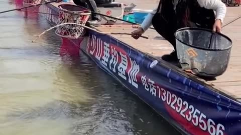 Best Asian Fishing Video