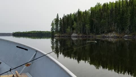 Kenro Fish Camp