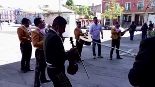 Mariachis serenade couples in Mexico City